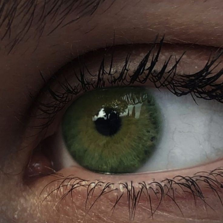 asamiyorumki's tweet image. green