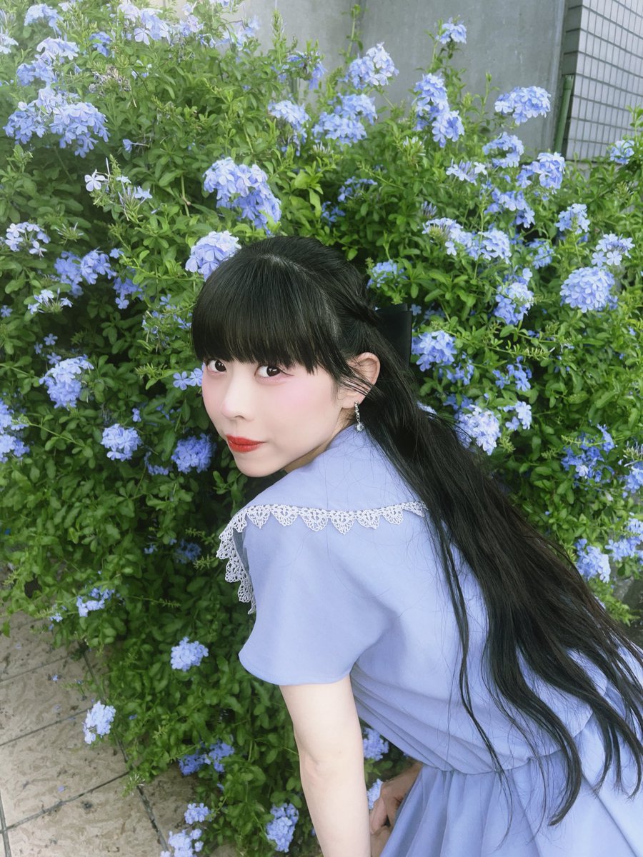 りょう様 門りょうちゃん着用 sugarオリジナルカラー・XSサイズあり【IRMA