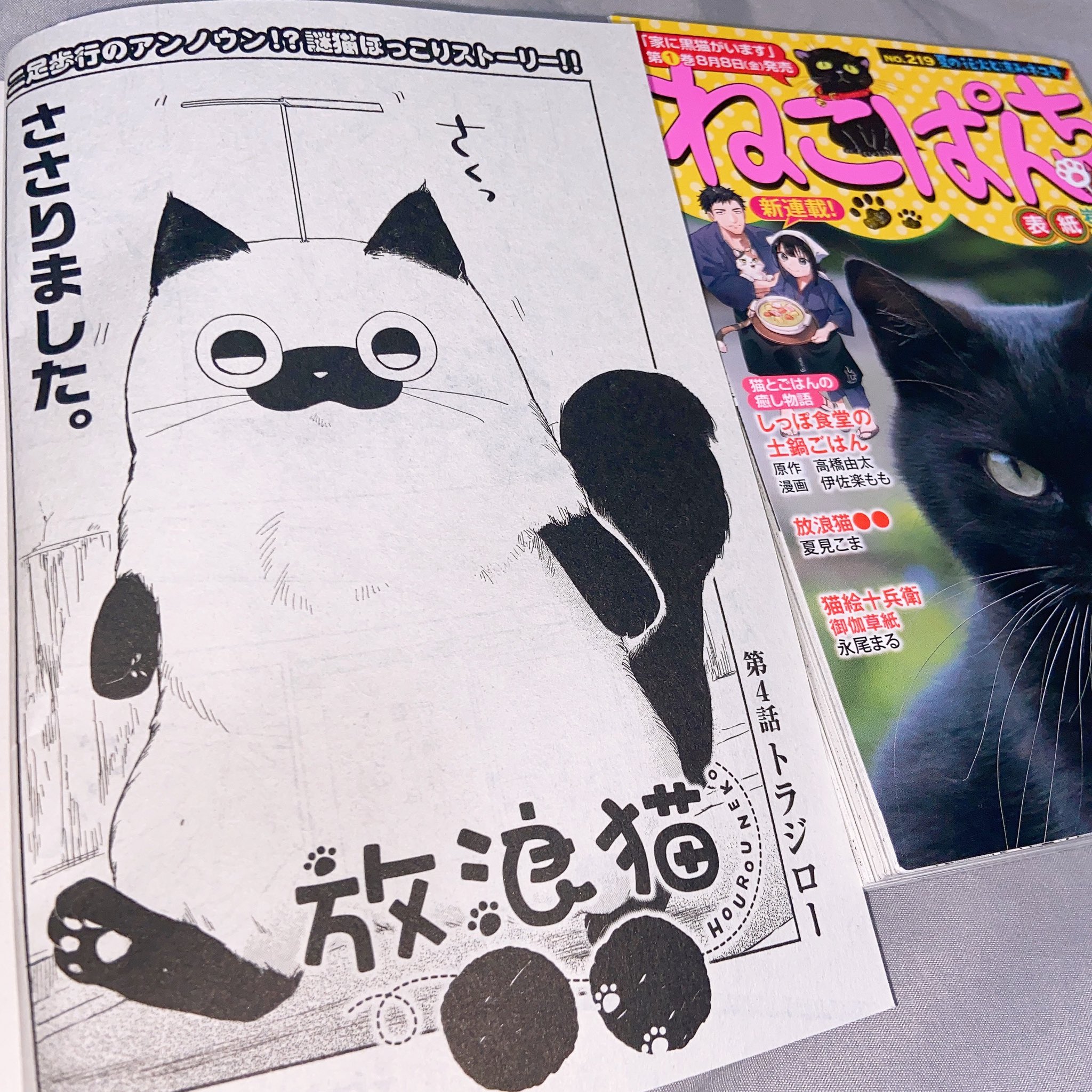 １８０円ねこぱんち　しょぼにゃんぶっく 180円ねこぱんちしょぼにゃん・ぶっく (にゃんCOMI廉価版
