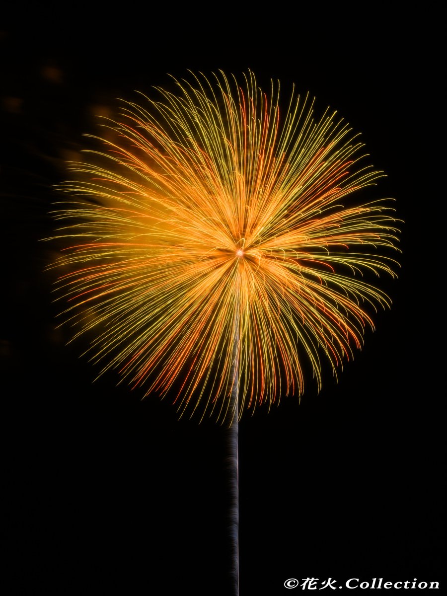 花火.Collection（SHINYA INOUE (@hanabi_inoue) / X