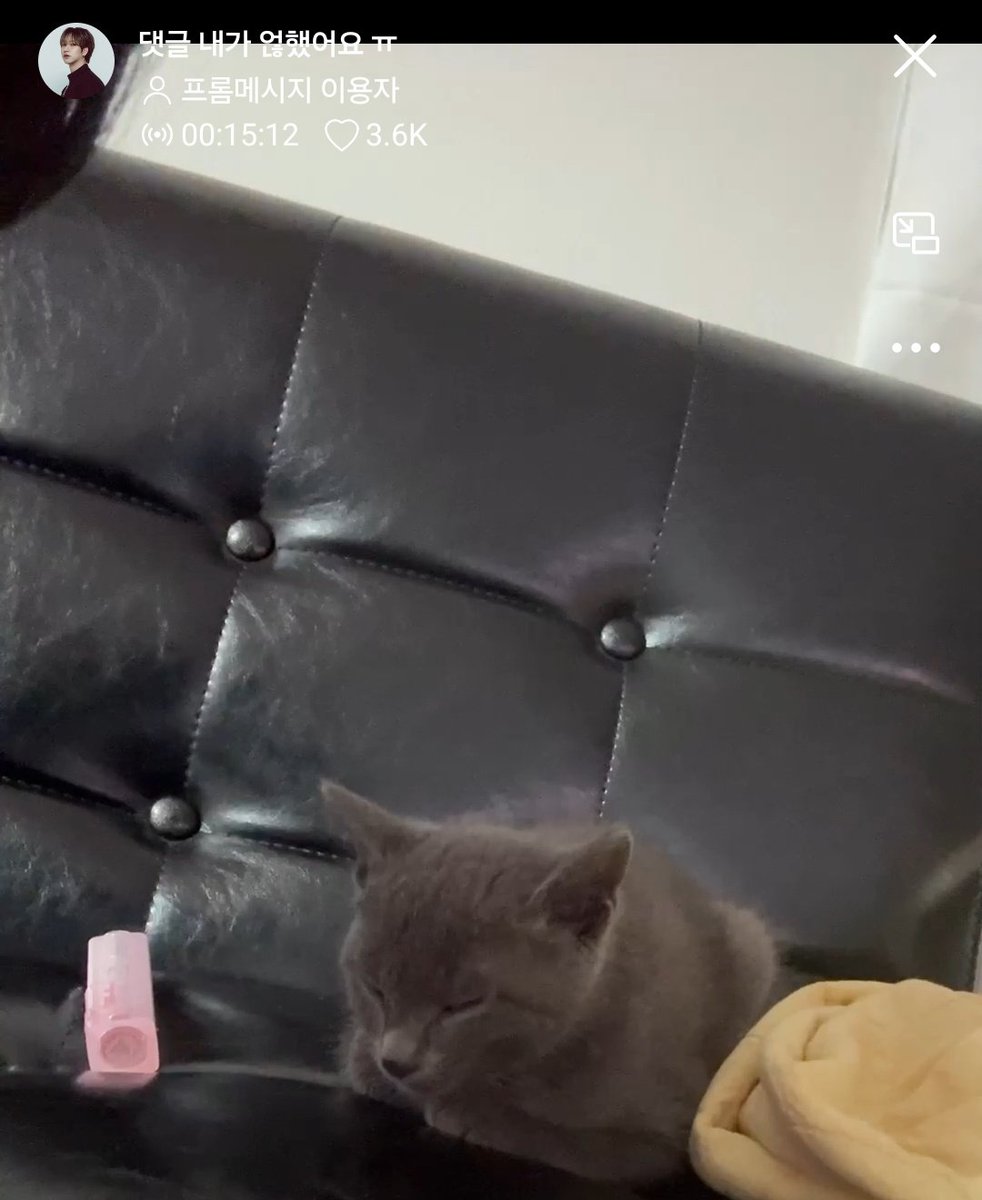 라이브 제목 실환가