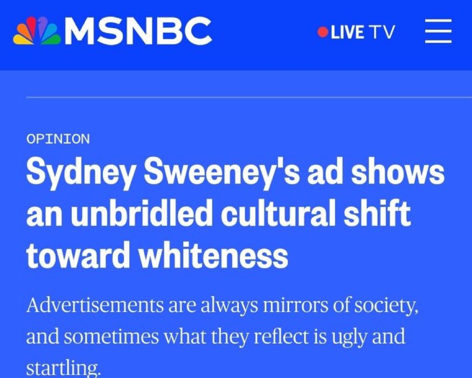 I must admit that I thought the whole “Sydney Sweeney American Eagle ad is Nazi coded” thing was just a meme

Karen had other plans