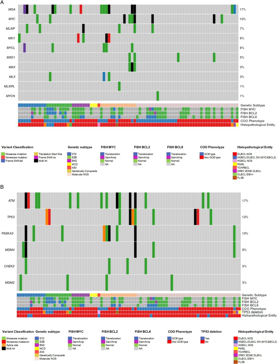 Genetic subtyping by Whole Exome Sequencing across Diffuse Large B Cell Lymphoma and Plasmablastic Lymphoma. 
Estudio que identifica subtipos genéticos con potencial impacto clínico y terapéutico <a href="/geltamo/">GELTAMO</a> 
journals.plos.org/plosone/articl…