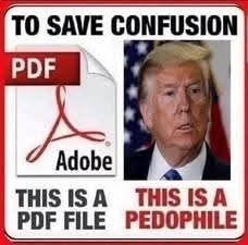 CanadianWeedWiz's tweet image. #PDFfile  and a #Pedophile     #NotTheSame #File #EpsteinTrumpFiles
