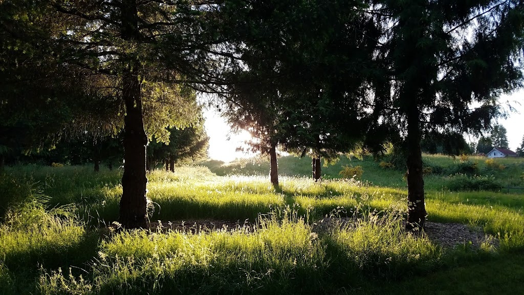Clark Lake Park is a beautiful spot where you can enjoy walking trails, fishing and scenic views! 🌅🌲 #KentParks

Take a walk, birdwatch, read a book on the dock, take in the view, check out public art, and enjoy being in nature at this ginormous 150+-acre park!