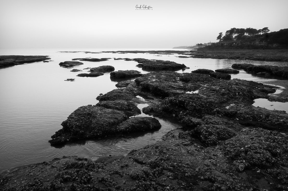 #blackandwhitephotography