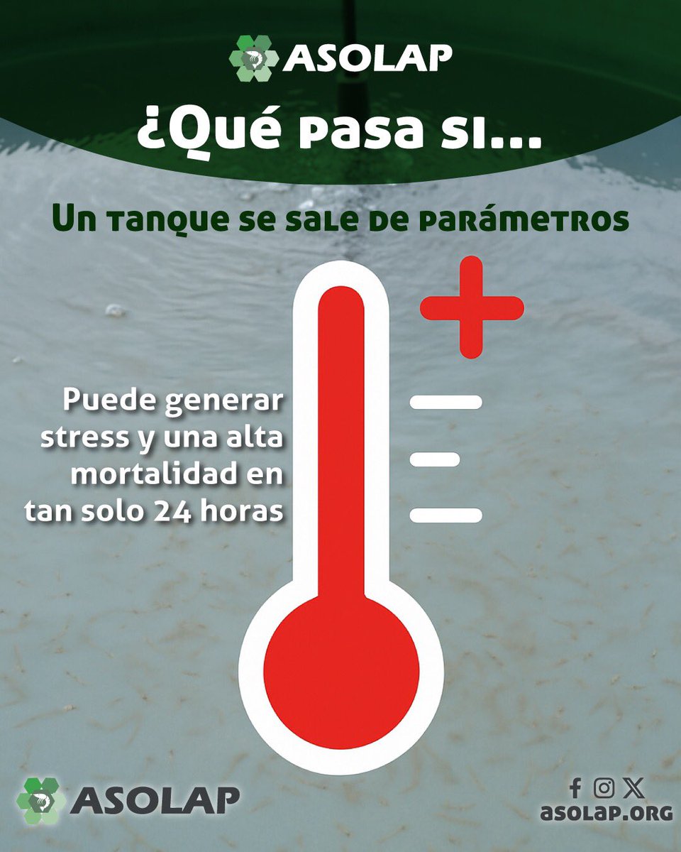 🚨 ¿Qué pasa si un tanque se sale de parámetros? Un solo desajuste de temperatura, pH u oxígeno puede causar stress y una alta mortalidad en tan solo 24 horas.
Monitorea en tiempo real y protege cada ciclo.
🔍🐣 #PrevenciónLarvaria #ControlTécnico #ASOLAP