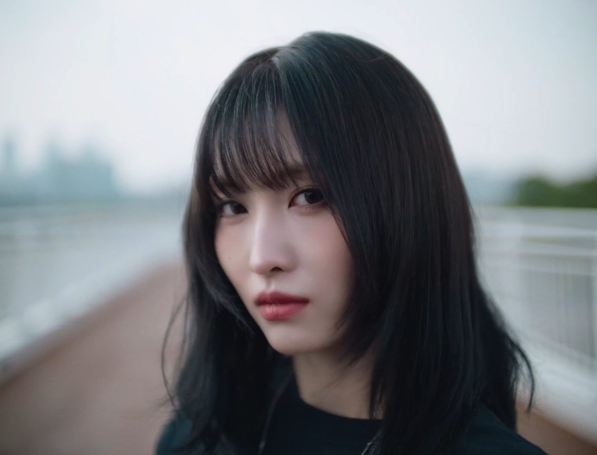 Momoプロフィール目を通して下さい jurídico go hard on X: