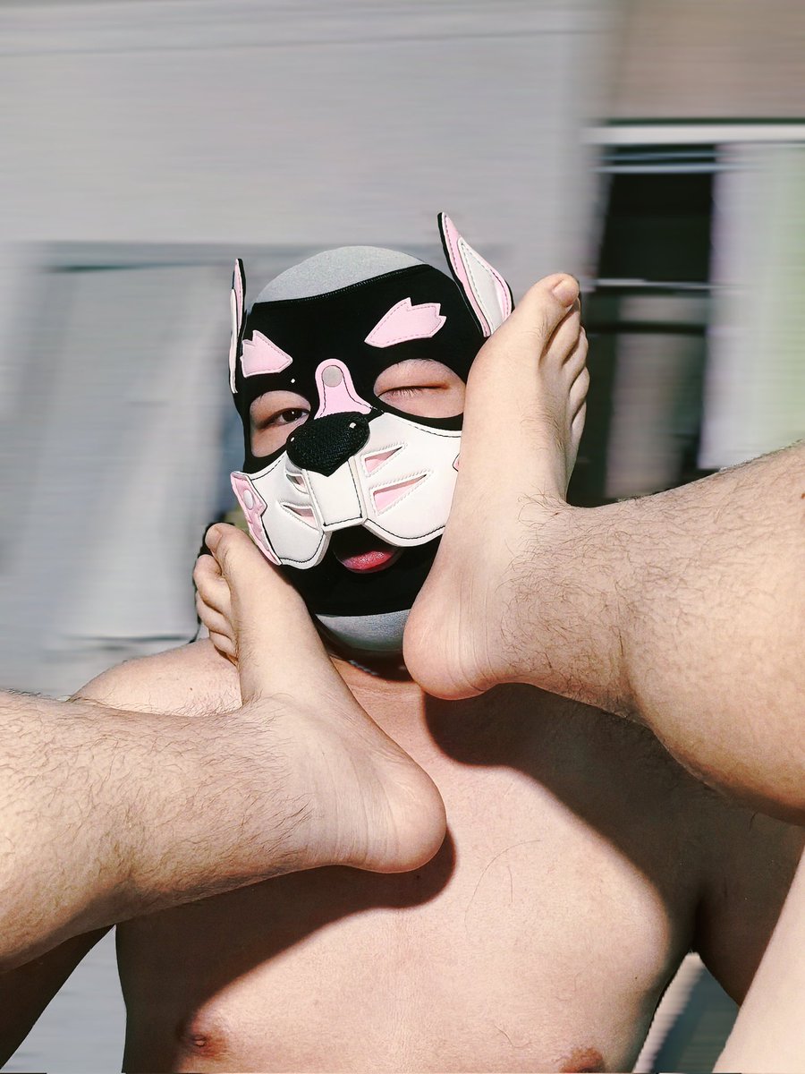 肘子饭 (@ccczz715) on Twitter photo 