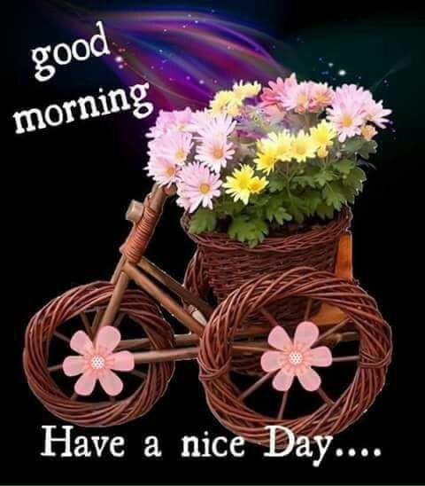 Dárcida Soto (@leonina_0108) on Twitter photo ╦══►╮
║║•°°•💋
║╠╣💕╯
║║ 💝
╩╩ ◯LL◯W
🔶<a href="/TahneeQueen/">👑QUEEN OF QUEENS👑 🇲🇽🇺🇸👑</a>
🔷<a href="/RoyAtamirano/">Roy Altamirano</a>
♦️<a href="/jlferguson50/">Joe ☞#eReferenceDesk</a>
🔶<a href="/ginestarros/">SuperGina♥️💚♥️</a>
🔷<a href="/mamiRD_/">🇩🇴mamiRD_ #LoveDeMami❤ AmigosDe❤</a>
♦️<a href="/MirCaro/">CaroMir</a>
🔶<a href="/blsnjaja/">OKO-JAJA</a>
🔷<a href="/Luisa1E/">Luisa Elena 🌹Luisa🌷</a>
♦️<a href="/R1_Adv/">Ridwan R1🇮🇩</a>
🔶<a href="/Saori__M/">ღƪ(ˆ◡ˆ)ʃ♡ℳДƦîƝ இ️ ♡</a>
🔷<a href="/Aluddin19/">Aluddin19</a>
♦️<a href="/Luca25ita/">༄᭄𝐿ucas ҉ #𝙇𝙤𝙫𝙚&𝙋𝙚𝙖𝙘𝙚𓅃</a>
🔶<a href="/i_am_IBBU/">ABRAR AHMAD KHAN</a>
🔷<a href="/GRAHAM15583/">🅶🆁🅰🅷🅰🅼</a>
♦️<a href="/electwave_music/">Electwave Official</a>
🔶<a href="/Spencerjames211/">Spencer James #GAINWITHPETAL #TMPETAL #Teamspirit</a> ╦══►╮
║║•°°•💋
║╠╣💕╯
║║ 💝
╩╩ ◯LL◯W
🔶<a href="/TahneeQueen/">👑QUEEN OF QUEENS👑 🇲🇽🇺🇸👑</a>
🔷<a href="/RoyAtamirano/">Roy Altamirano</a>
♦️<a href="/jlferguson50/">Joe ☞#eReferenceDesk</a>
🔶<a href="/ginestarros/">SuperGina♥️💚♥️</a>
🔷<a href="/mamiRD_/">🇩🇴mamiRD_ #LoveDeMami❤ AmigosDe❤</a>
♦️<a href="/MirCaro/">CaroMir</a>
🔶<a href="/blsnjaja/">OKO-JAJA</a>
🔷<a href="/Luisa1E/">Luisa Elena 🌹Luisa🌷</a>
♦️<a href="/R1_Adv/">Ridwan R1🇮🇩</a>
🔶<a href="/Saori__M/">ღƪ(ˆ◡ˆ)ʃ♡ℳДƦîƝ இ️ ♡</a>
🔷<a href="/Aluddin19/">Aluddin19</a>
♦️<a href="/Luca25ita/">༄᭄𝐿ucas ҉ #𝙇𝙤𝙫𝙚&𝙋𝙚𝙖𝙘𝙚𓅃</a>
🔶<a href="/i_am_IBBU/">ABRAR AHMAD KHAN</a>
🔷<a href="/GRAHAM15583/">🅶🆁🅰🅷🅰🅼</a>
♦️<a href="/electwave_music/">Electwave Official</a>
🔶<a href="/Spencerjames211/">Spencer James #GAINWITHPETAL #TMPETAL #Teamspirit</a>