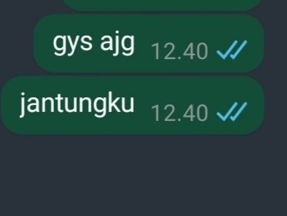 int🅰️n tweet media