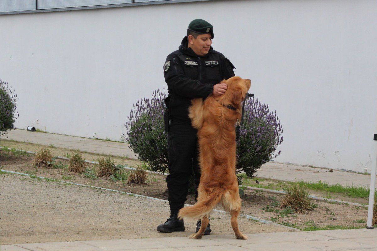 El Equipo Regional de Canes Adiestrados, participó en la celebración del Día del Perro organizado por la Municipalidad de Rancagua. En la actividad canes y sus guías participaron activamente con los asistentes. De esta manera el Gendarmería reafirma su compromiso con la comunidad