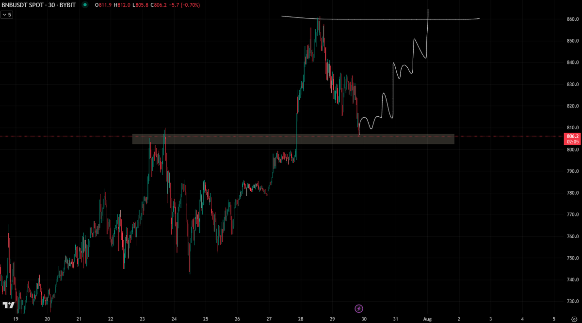 optimist_crypt's tweet image. gm

I dont wanna miss out on $BNB at any case fam.