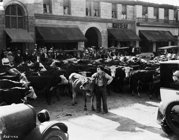 'Go West, they said!'

#GoWest1925
#BusterKeaton
#BrownEyes