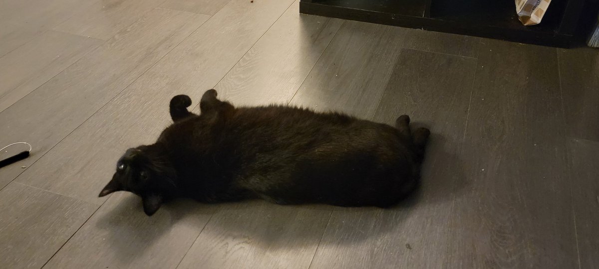 Mpatts Mpatts (@mpatts15) on Twitter photo 