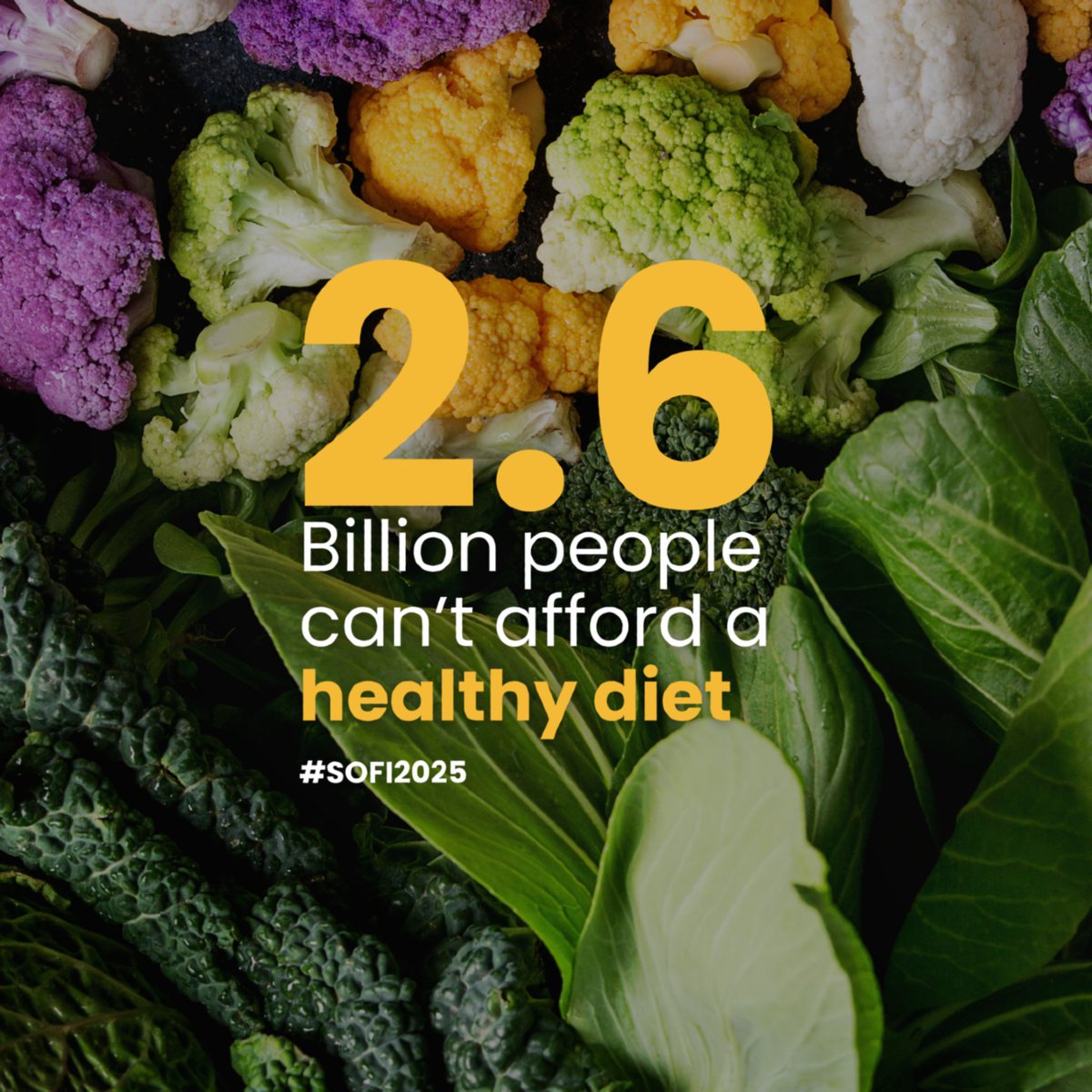 The cost of a healthy diet is climbing, driven
by rising food prices in 2023-24.

2.6 bln people can't afford a healthy diet.
This is a crisis🚨

It's time to fix food systems to work for
everyone, everywhere. #SOFI2025
#HungryforAction