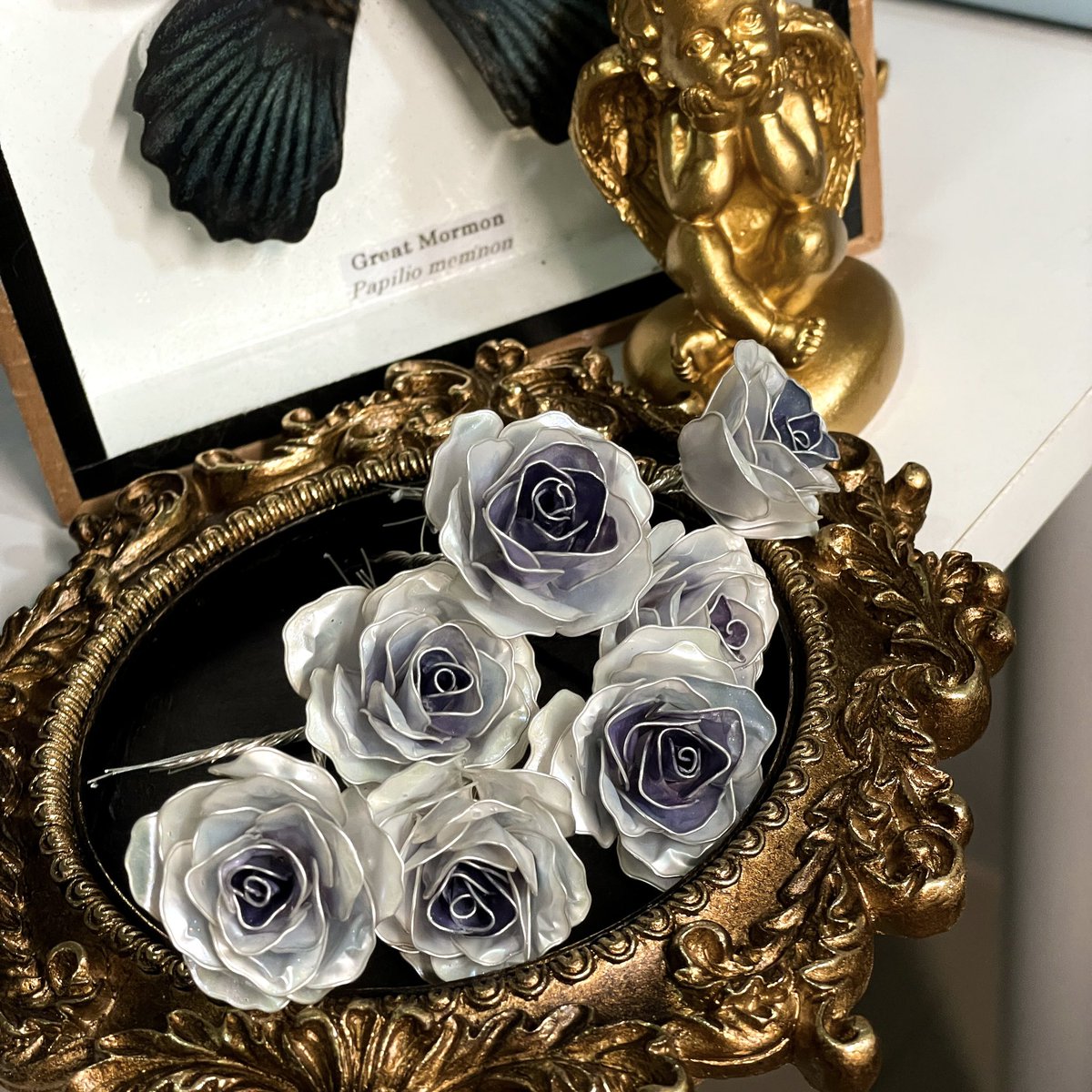 imthemeteor's tweet image. บลูกราวิตี้เป็นกุหลาบสายพันธุ์เดียวในไทยตอนนี้ที่มีสีออกไปทางสีฟ้าค่ะ 

ยิ่งอากาศเย็นสียิ่งออกชัด แน่นอนว่าถ้าอยู่ในที่ร้อนพร้อมจะกลายร่างเป็นกุหลาบขาวเลย 🫠