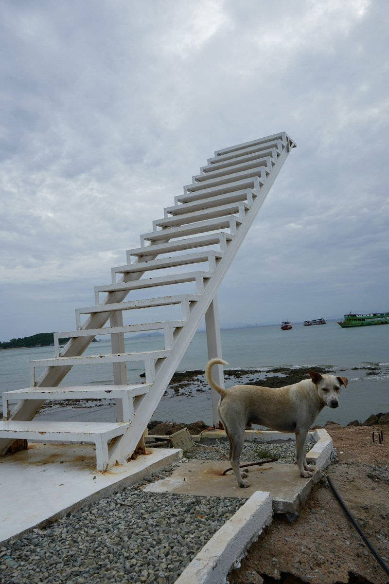 Rimtalay Resort, Koh Larn 📍🌊☀️❤️🇹🇭☮️☯️

หนีความวุ่นวายในเมือง มาพักใจที่ เกาะล้าน กันสักหน่อย
แค่ 2 ชั่วโมงจากกรุงเทพ ก็ได้มานอนชิลใน Villa ติดทะเล
ห้องพักกว้างขวาง เรียบหรู พร้อม อ่าง Jacuzzi ชั้น 2
ให้นอนแช่ตัวรับลมทะเลแบบเต็มๆ 💦🌴

#RimtalayResort #KohLarn #เกาะล้าน