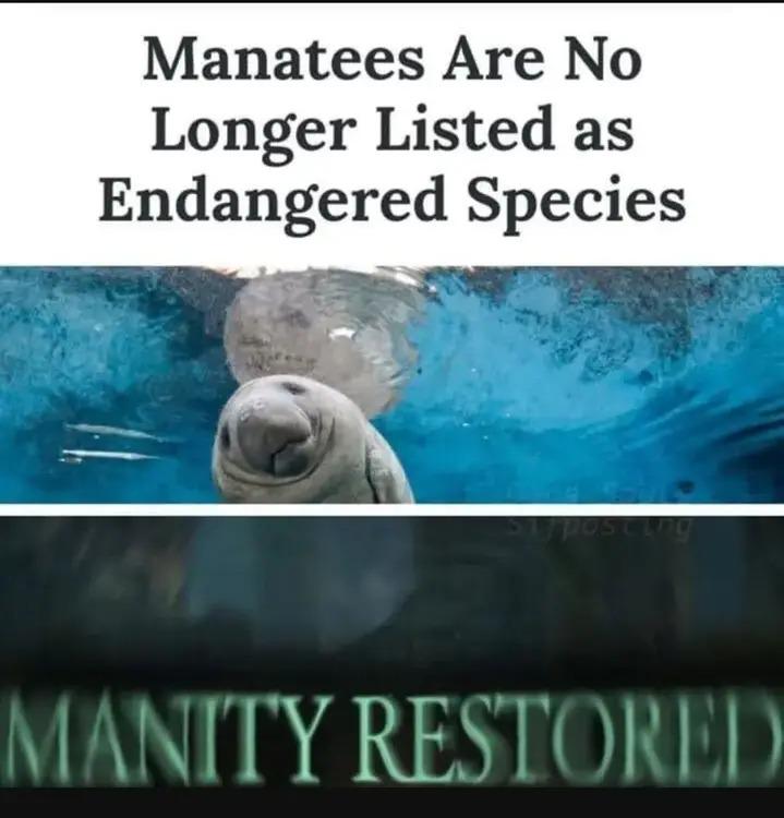 Elden Ring Nightreign News tweet media