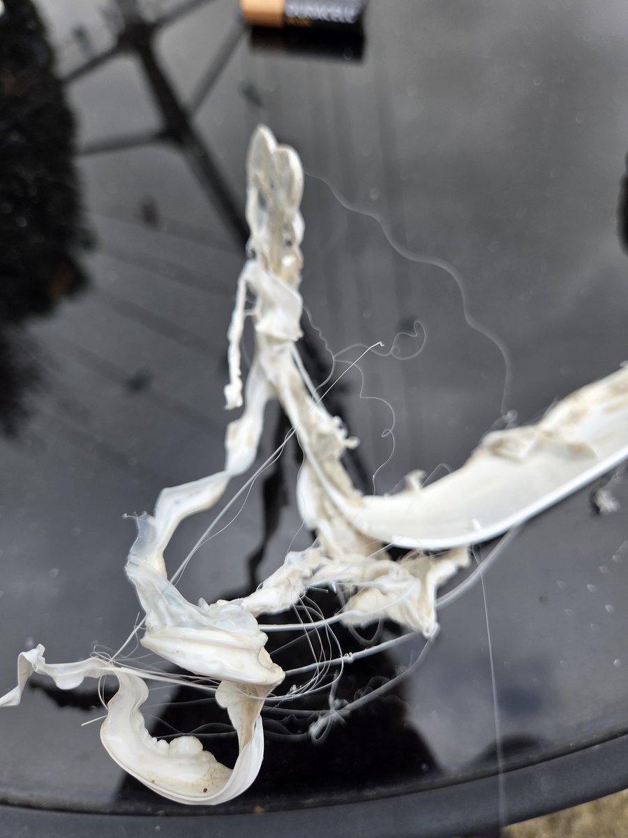 Jess👏🏻 tweet media