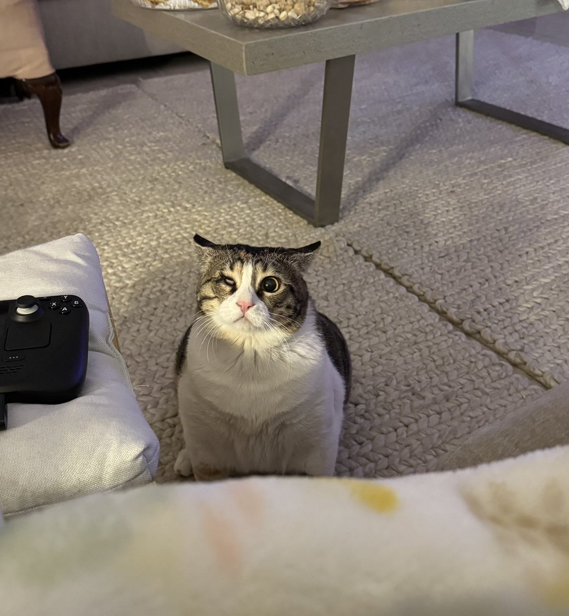 manic horse girl (Spooky) tweet media