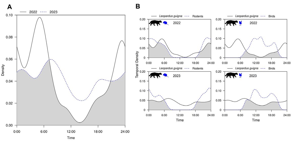 GayanaJrnl's tweet photo. Interannual variation in the activity #patterns of kodkod (Leopardus #guigna) in a peri-urban protected area of south-central #Chile
🐱🐱🐱🐱
https://t.co/dEL725jyp1 https://t.co/6yK8QD4NXz