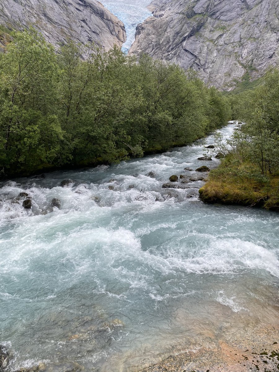 Miss A Kelly tweet media