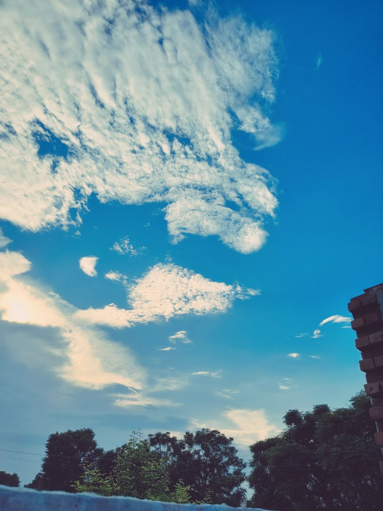 Puspendra36's tweet photo. #NatureBeauty #farming #Mousam #tranding #Follow https://t.co/dIrFtBMD84