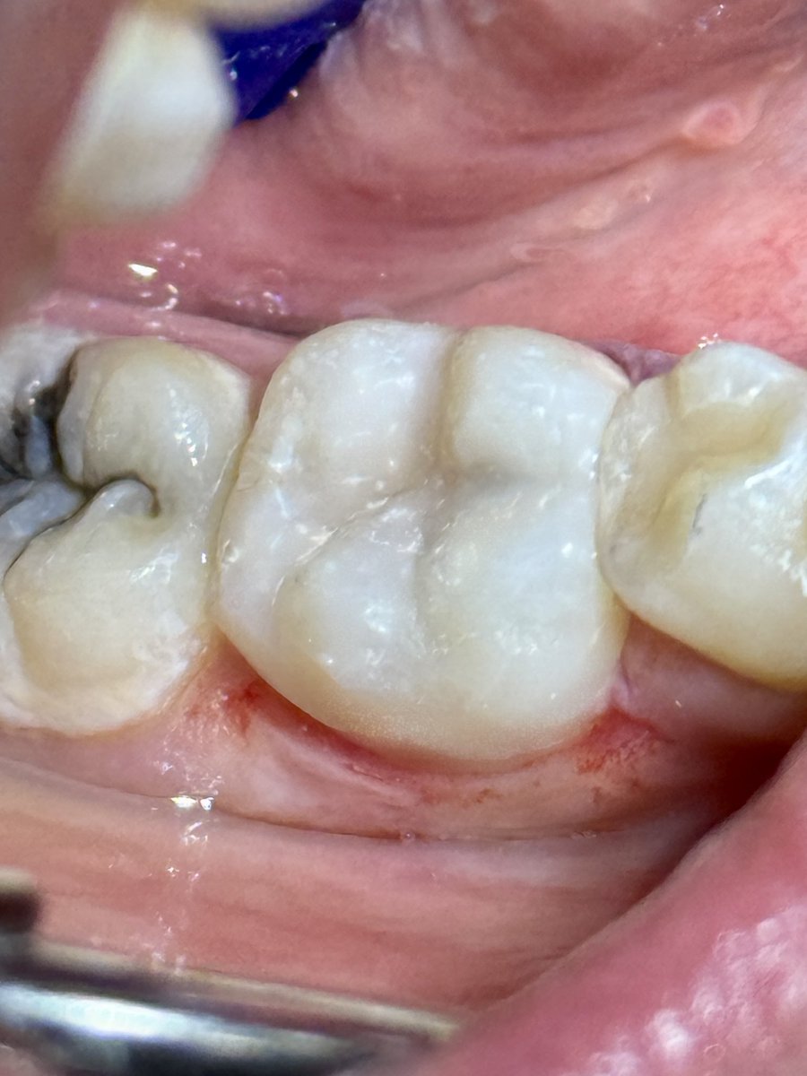 ساعد الغامدي tweet media