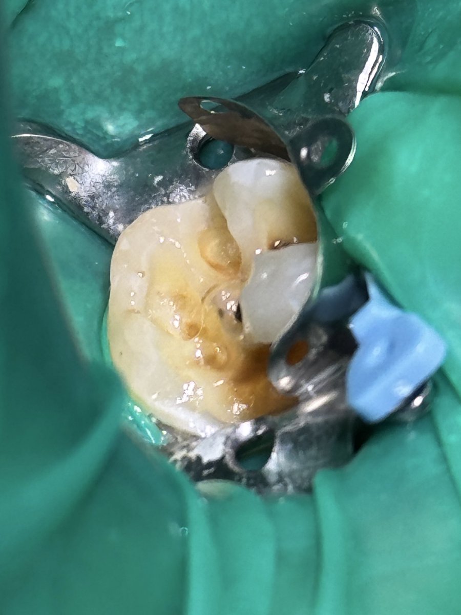 ساعد الغامدي tweet media