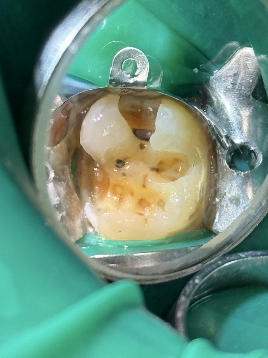 ساعد الغامدي tweet media