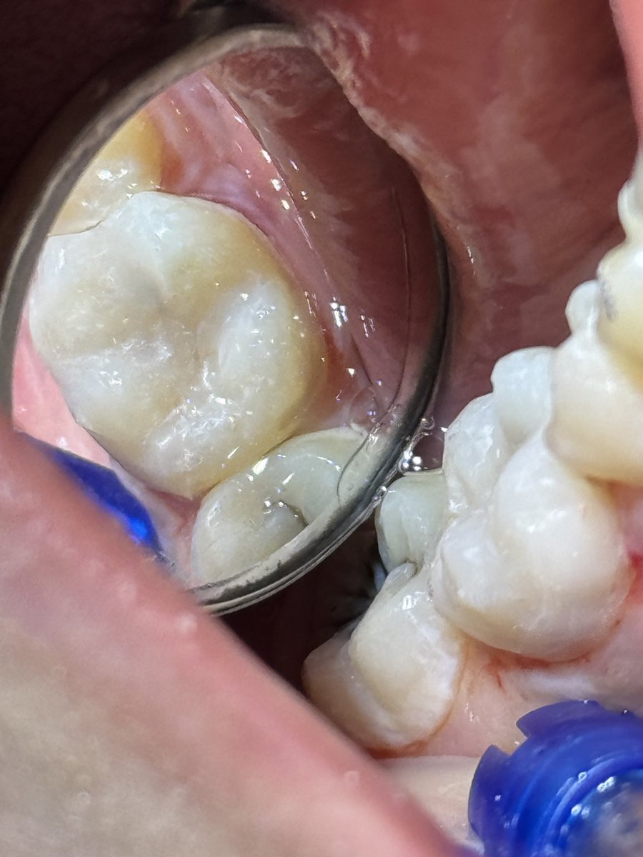 ساعد الغامدي tweet media