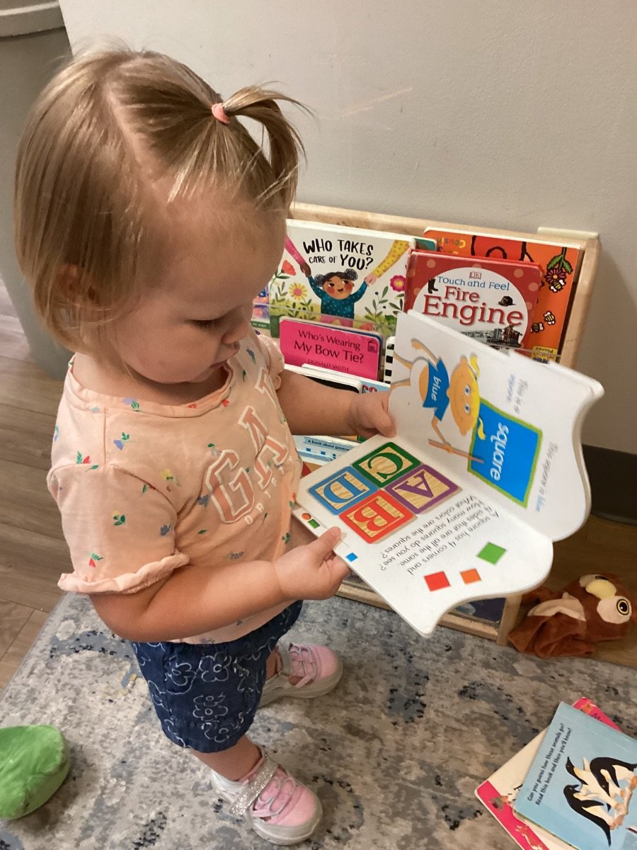 L. M. Archer 🐍 Author tweet media