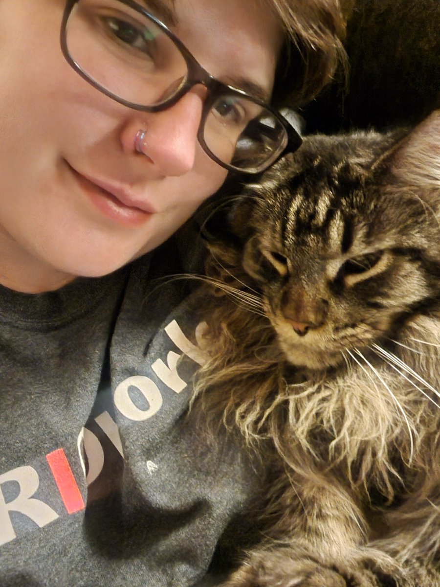 L. M. Archer 🐍 Author tweet media