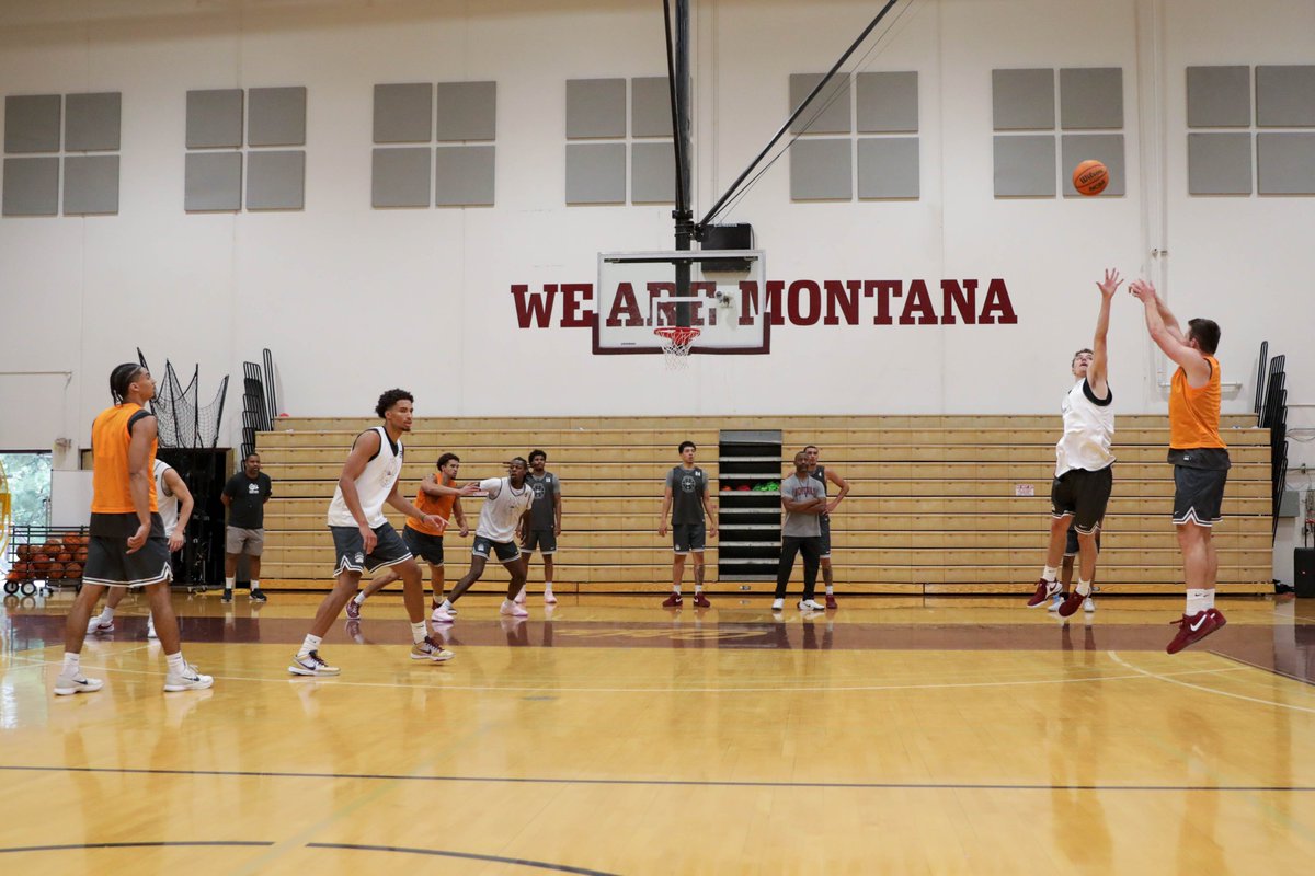 Montana Griz Basketball tweet media