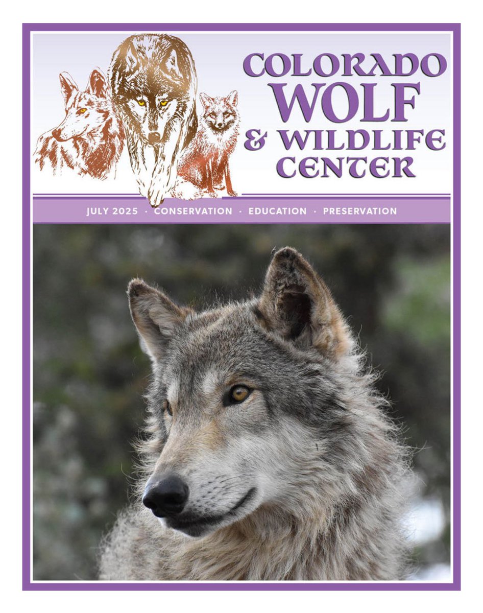 SamanthasLaw's tweet image. #CWWC wolfeducation.org