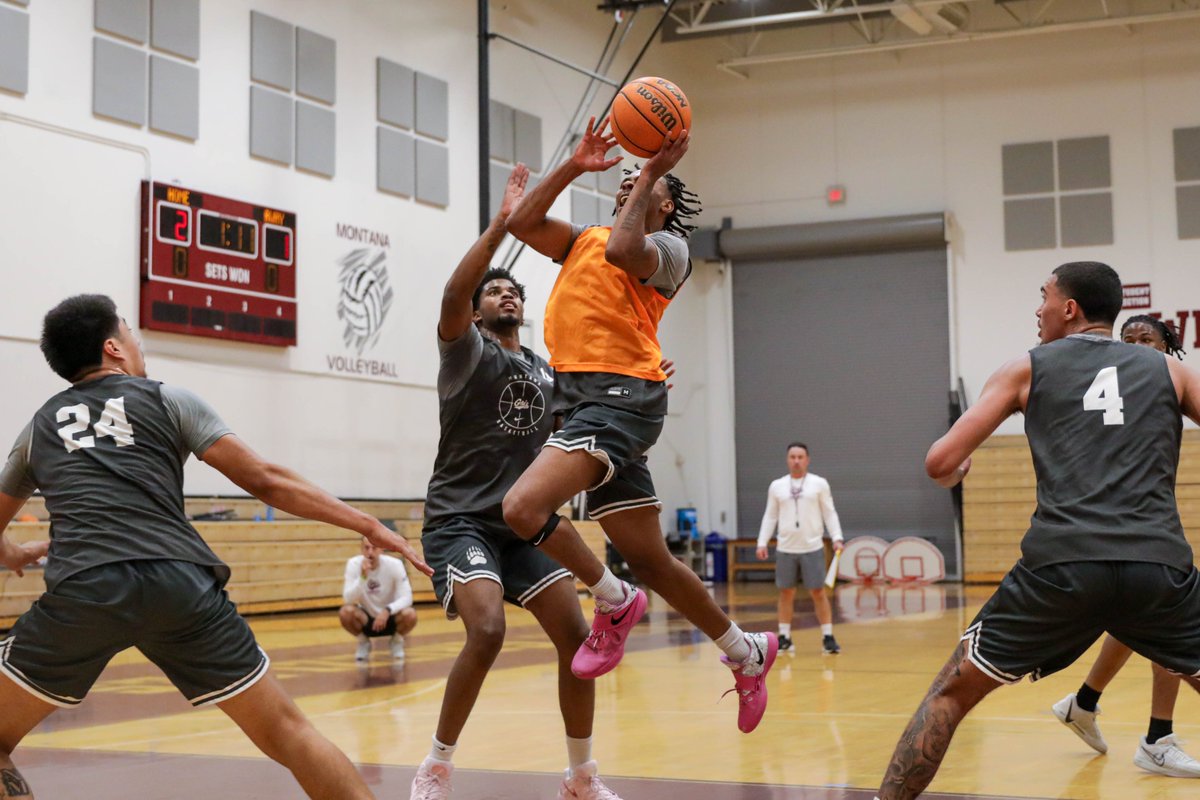Montana Griz Basketball tweet media