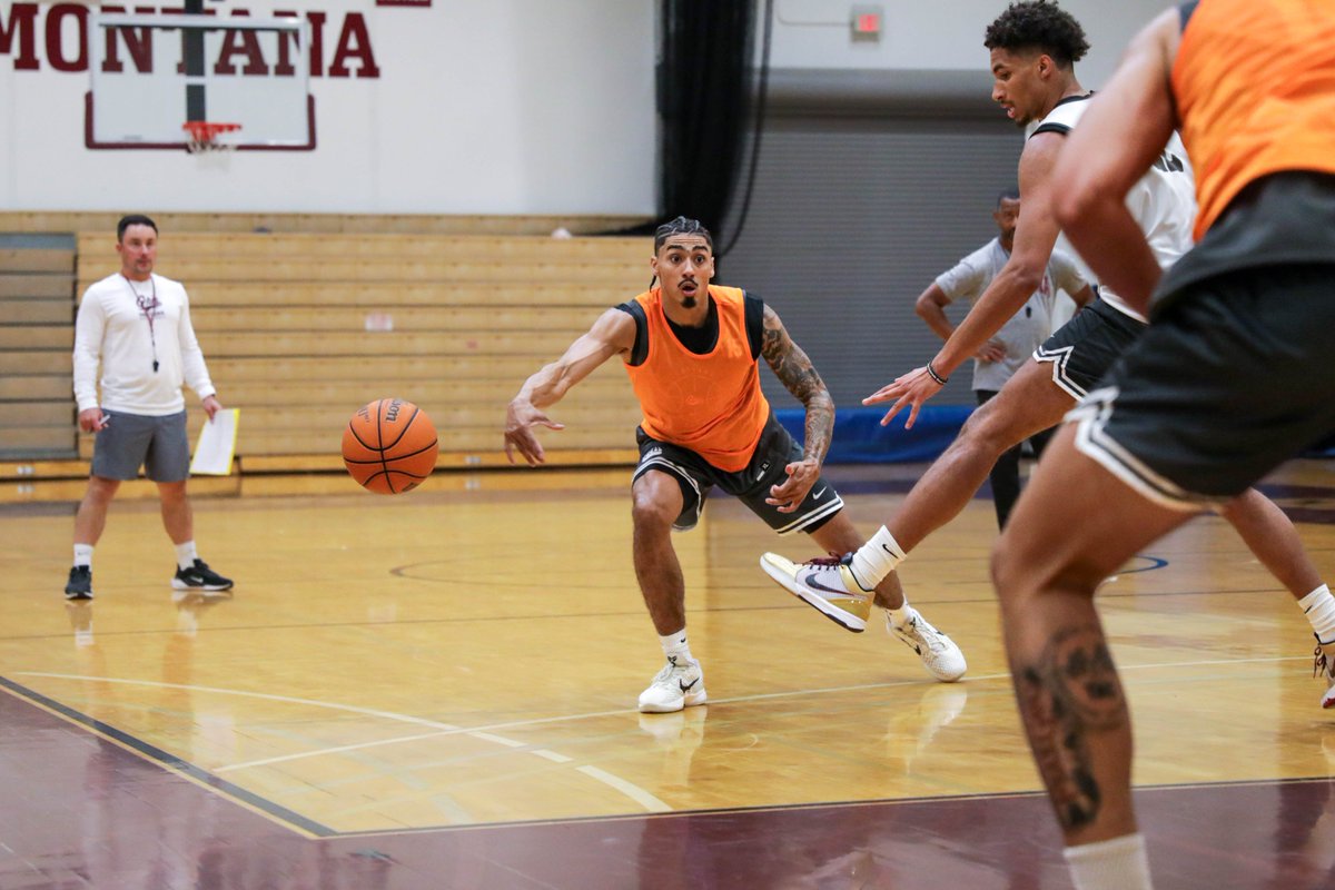 Montana Griz Basketball tweet media