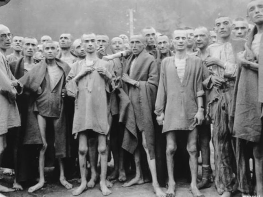 This is what Jewish ADULTS looked like during the Holocaust.

Genuine question: How come there are no photos of emaciated adult Gazans, only children?