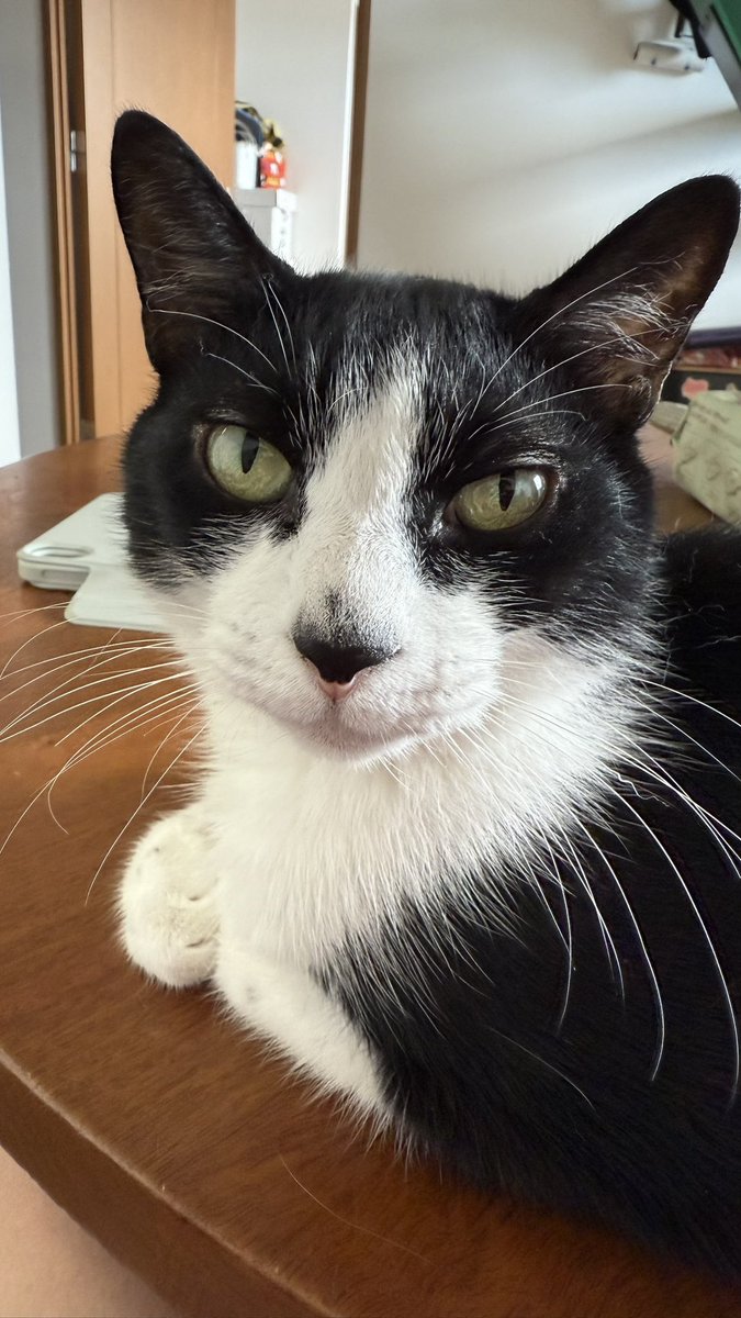 sanotare's tweet photo. おれ https://t.co/JIFf9WbF2c