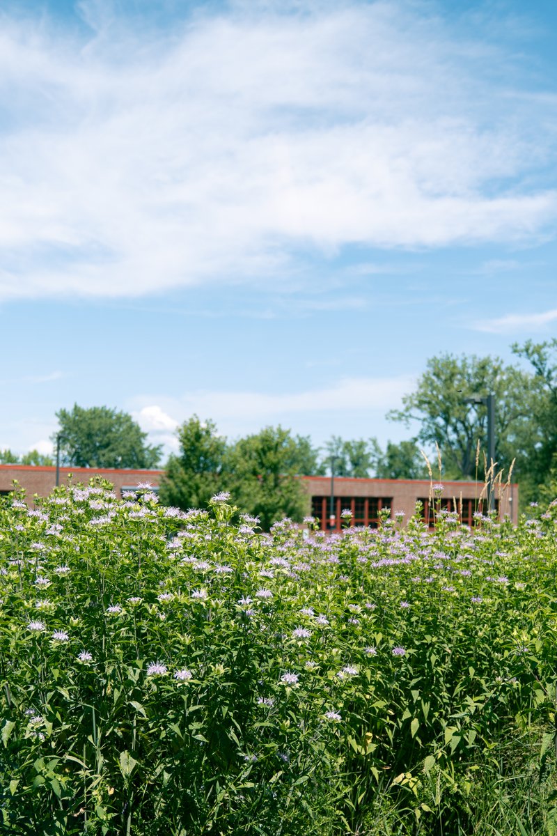 BootstrapVT's tweet image. We are so grateful for the space we get to work in at @hulalakeside! There&apos;s nothing like lakeside views and natural light to energize us for the work we&apos;re doing here at Bootstrap! ✨ 🪴 ⛵