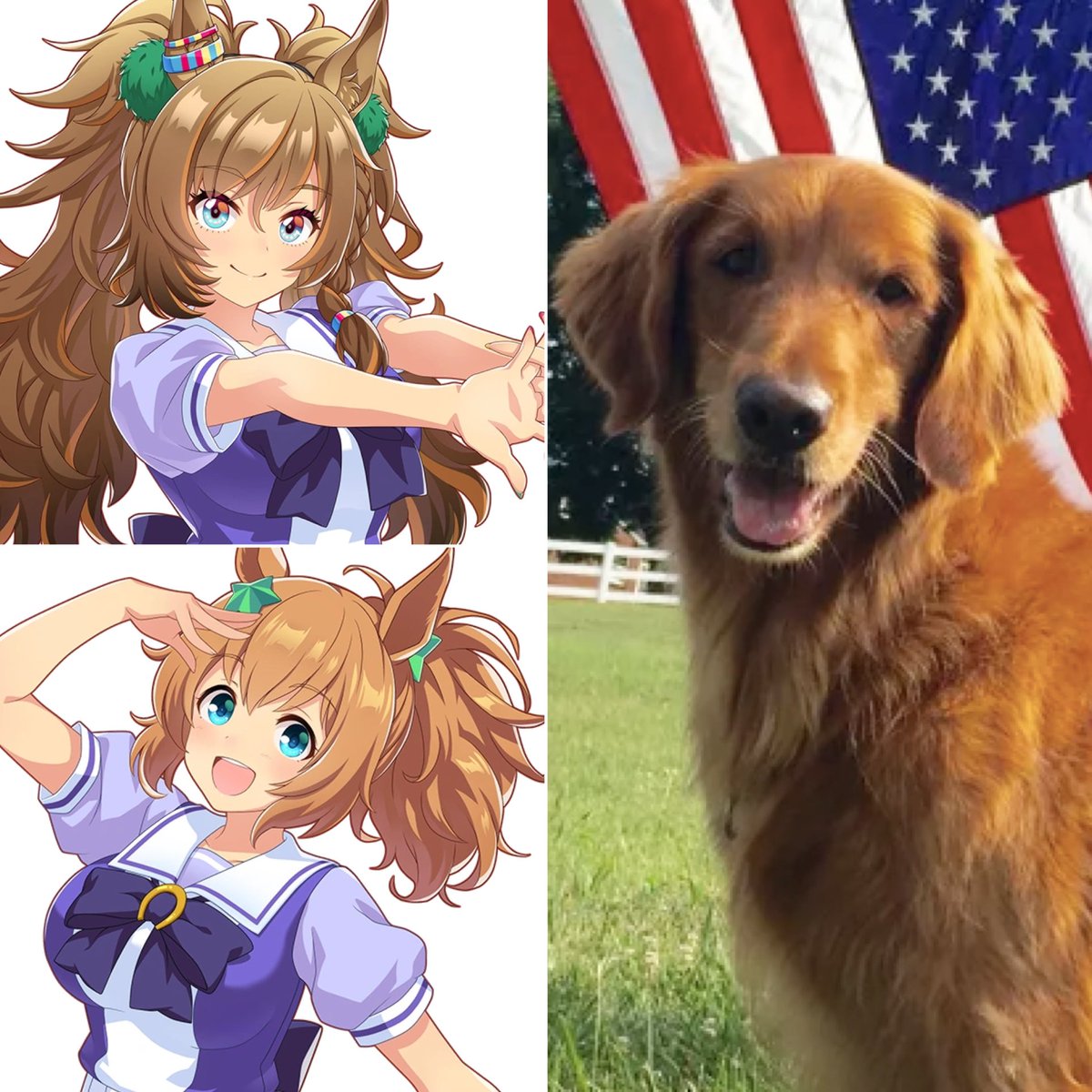 it is very important to differentiate that topro and durandal are yellow lab coded

and taiki and blast onepiece are bush’s baked bean dog coded

do you understand?