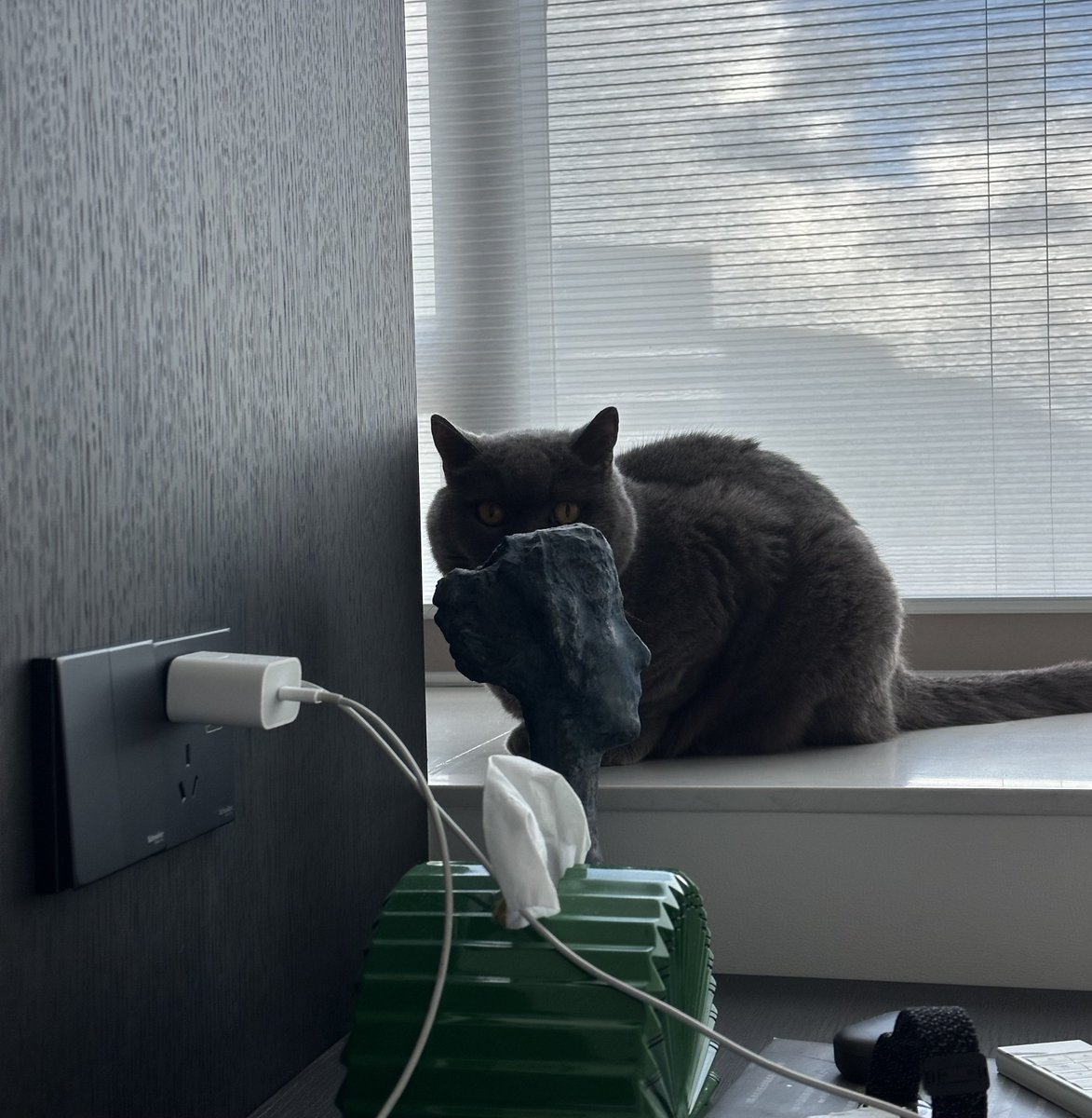 Thom Fang tweet media