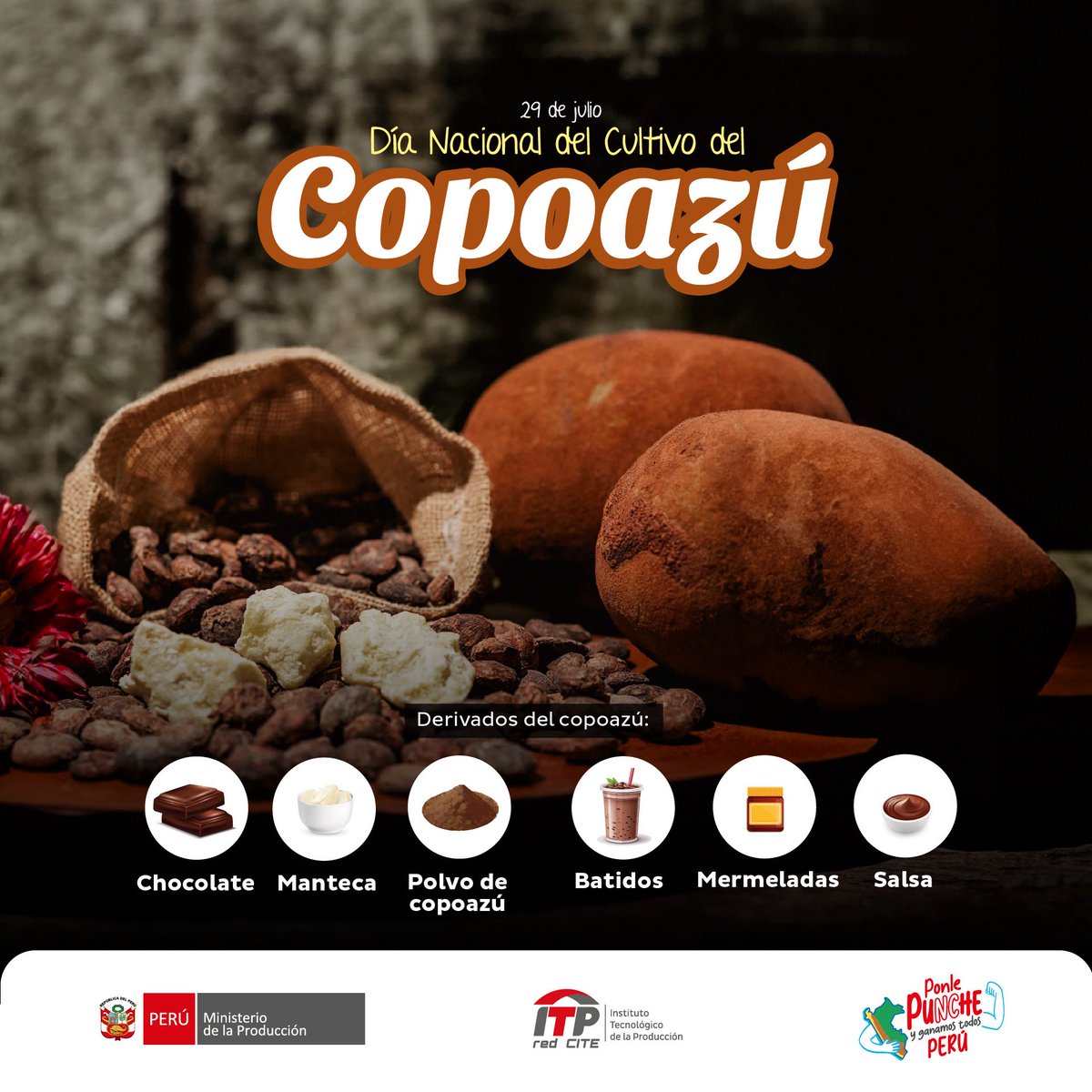🌱 ¡Es el día del Copoazú!

Este superfruto amazónico impulsa el desarrollo local con productos como chocolate, manteca, batidos, mermeladas y más. 🍫💪

Desde el ITP red CITE, seguimos fortaleciendo su cadena productiva con innovación, tecnología y talento peruano. 🇵🇪