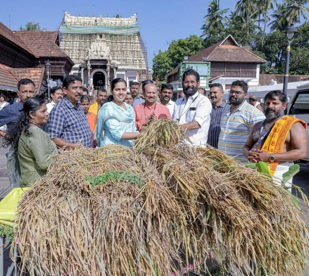Freshly harvested grains have arrived at the Padmanabhaswamy Temple for tomorrow's Niraputhari festival — a celebration of prosperity and divine abundance. Devotees receive the offered grains and carry them home with reverence, to be placed in kitchens and storerooms as sacred