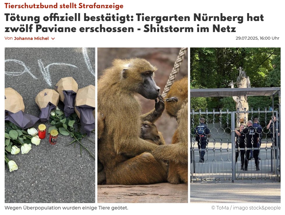 Peter Borbe tweet media