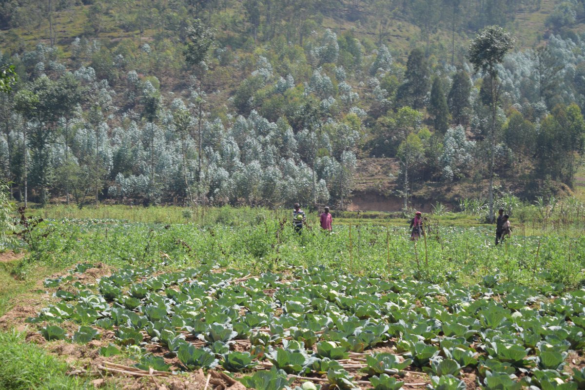 UNHCR Rwanda tweet media