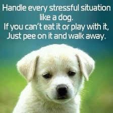 Miss Mona (@whalenmona) on Twitter photo <a href="/PAYthe_PIPER/">PIPER #MAGA GAINS</a> <a href="/FrankKane11/">Kane's Street Smarts</a> <a href="/whale20564/">Miss M</a> <a href="/smontijo02/">PixelPusher</a> <a href="/PaulMer53/">PAULWALES THE CRAZY TRAIN ๐คGUNS N ROSES ๐น</a> <a href="/Old_JohnPasBon/">Old Man John</a> <a href="/bdonesem/">๐ ๐๐ฑ๐ฒ๐ผ๐น๐ฎ๐ป ๐ ( โ๐๐ต ) ๐</a> <a href="/DatoFreddy/">Maga Freddy NJ ๐บ๐ธ๐บ๐ธ</a> <a href="/maga4joe/">Joe Patriot</a> <a href="/PatriotInSF/">Mad Starr</a> <a href="/thor_exis/">Thor the Patriot</a> <a href="/AdrianD_96/">ULTRA MAGA DAVID</a> <a href="/Eb67735B/">e b</a> <a href="/enaidre/">Diane ๐ค</a> <a href="/_Ash2Dust/">แดฌหขแดดแดฑหข โณ</a> <a href="/BrutusTB2000/">Hobbes 2.0</a> <a href="/NiteWolF_1/">โฮฑสแฏไธโฅ</a> <a href="/BFes56/">๐บ๐ธBIGGEST๐ณCAT๐บ๐ธ</a> <a href="/JohndelosReyes3/">Johnny D</a> <a href="/Azuralove1950/">Anna Sonyi Gillies</a> <a href="/ZeTeamZ/">Zey</a> <a href="/ricphy2/">ricphy</a> <a href="/C_Spot_Go/">Mr. C</a> <a href="/hakesaw/">๐บ๐ธ๐งDr. Rev. Hakesaw๐ง๐บ๐ธ</a> <a href="/PAYthe_PIPER/">PIPER #MAGA GAINS</a> <a href="/FrankKane11/">Kane's Street Smarts</a> <a href="/whale20564/">Miss M</a> <a href="/smontijo02/">PixelPusher</a> <a href="/PaulMer53/">PAULWALES THE CRAZY TRAIN ๐คGUNS N ROSES ๐น</a> <a href="/Old_JohnPasBon/">Old Man John</a> <a href="/bdonesem/">๐ ๐๐ฑ๐ฒ๐ผ๐น๐ฎ๐ป ๐ ( โ๐๐ต ) ๐</a> <a href="/DatoFreddy/">Maga Freddy NJ ๐บ๐ธ๐บ๐ธ</a> <a href="/maga4joe/">Joe Patriot</a> <a href="/PatriotInSF/">Mad Starr</a> <a href="/thor_exis/">Thor the Patriot</a> <a href="/AdrianD_96/">ULTRA MAGA DAVID</a> <a href="/Eb67735B/">e b</a> <a href="/enaidre/">Diane ๐ค</a> <a href="/_Ash2Dust/">แดฌหขแดดแดฑหข โณ</a> <a href="/BrutusTB2000/">Hobbes 2.0</a> <a href="/NiteWolF_1/">โฮฑสแฏไธโฅ</a> <a href="/BFes56/">๐บ๐ธBIGGEST๐ณCAT๐บ๐ธ</a> <a href="/JohndelosReyes3/">Johnny D</a> <a href="/Azuralove1950/">Anna Sonyi Gillies</a> <a href="/ZeTeamZ/">Zey</a> <a href="/ricphy2/">ricphy</a> <a href="/C_Spot_Go/">Mr. C</a> <a href="/hakesaw/">๐บ๐ธ๐งDr. Rev. Hakesaw๐ง๐บ๐ธ</a>