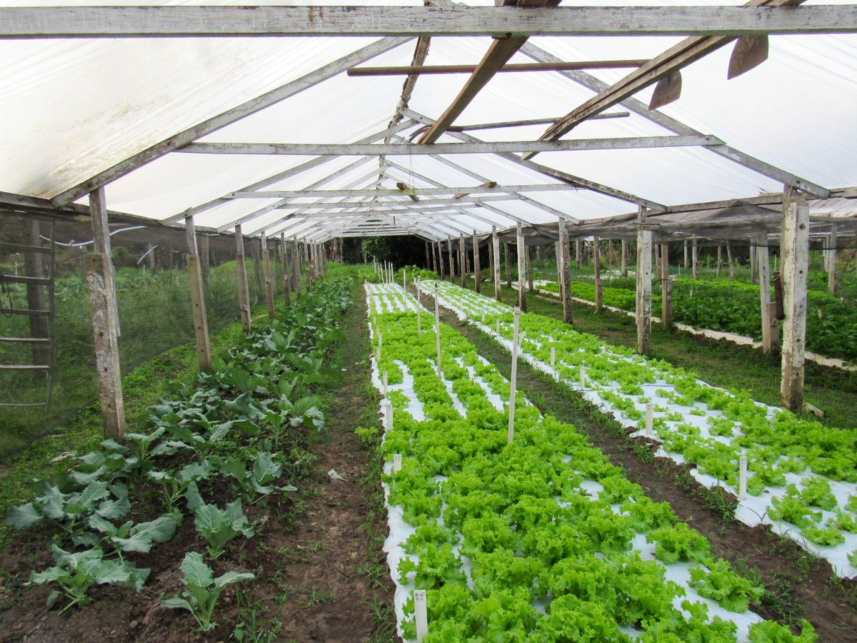 Instituto de Pesquisa Ambiental (IPAM) (@ipam_amazonia) on Twitter photo Os primeiros dias contaram com visita às florestas de bambu, características da região, e a pequenos agricultores que mantêm uma produção aliada da natureza.
Ainda, passamos pelo CIGMA, da <a href="/Semaacre/">Sema Acre</a>, e trocamos conhecimentos com pesquisadores da <a href="/ufac_oficial/">Ufac</a>. Os primeiros dias contaram com visita às florestas de bambu, características da região, e a pequenos agricultores que mantêm uma produção aliada da natureza.
Ainda, passamos pelo CIGMA, da <a href="/Semaacre/">Sema Acre</a>, e trocamos conhecimentos com pesquisadores da <a href="/ufac_oficial/">Ufac</a>.
