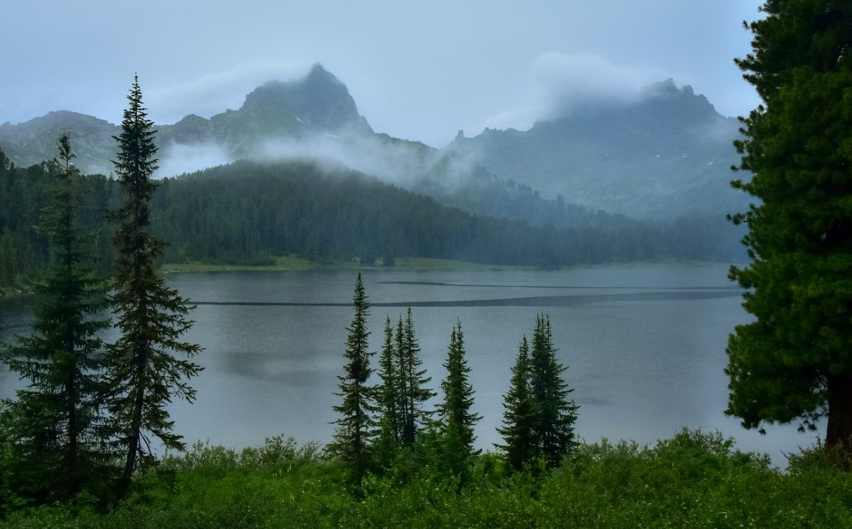Lake Svetly, Altai Krai. Photo by Vyacheslav Holzakov